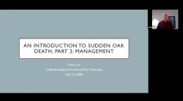 Sudden Oak Death (Part 2)