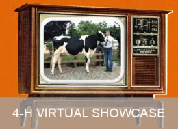 4-H Virtual Showcase Page Link