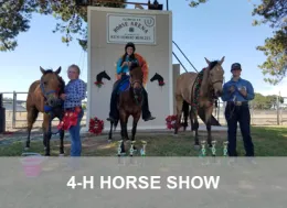 4-H Horse Show Page Link