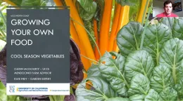 Cool Season Vegetables