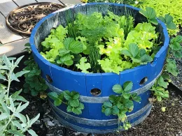 Half-barrels can be re-purposed into clever containers, such as this mini-tower