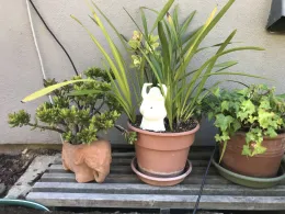 Containers Assorted by Shirley D'Addio