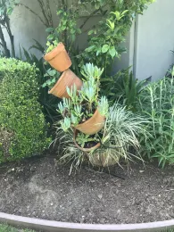 Pots Akimbo by Shirley D'Addio