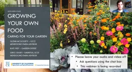 Caring for Your Garden