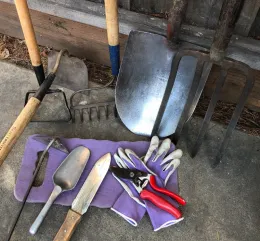 Tools by Karen Schaffer