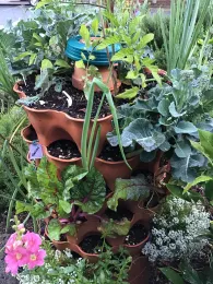 Container Garden Tower by Beth McGuire