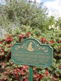 WildlifeHabitat Madera Garden