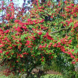 8380400416_beec0784ac_o