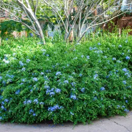 ce19d3c40d89be0a58ba4e0ed20bc00f709f2c17