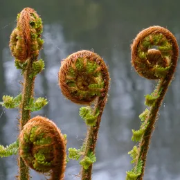 40662143303_015e705282_o