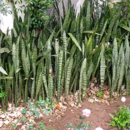 b2f69fb71ab709213ae17d2a0339bb0ccc666b93