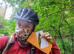 Collecting leaves by bicycle (small)