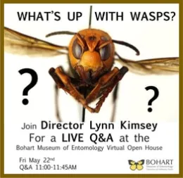 The virtual open house starts at 11 a.m., Friday, May 22.