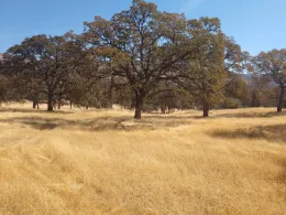 IMG_20180921_120808062