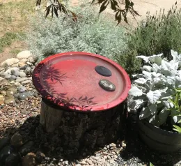 birdbath