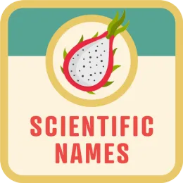 pitahaya-scientific-names-btn