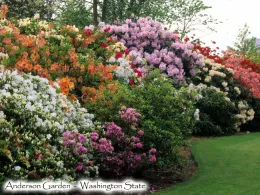 Anderson Garden Photo by Don Wallace