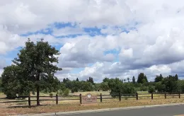Verbena Fields overview, Laura Lukes