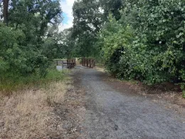 Verbena Fields footbridge over Side Channel, Laura Lukes