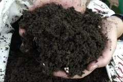 compost buying