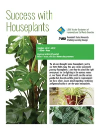 0721Houseplants