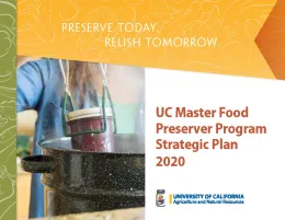 Cover page - strategic plan