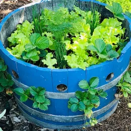 Container gardening