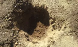 hole 2 ft deep x 3 feet wide