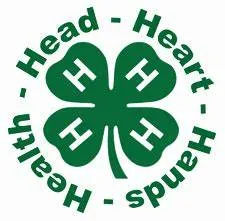 head hands heart health