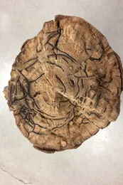 Source: Bea Nobua-Behrmann, UCANR