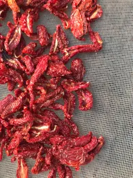 sun dried tomatoes