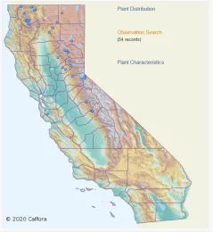 Cal Flora map showing sulfur cinquefoil (Potentilla recta) distribution.