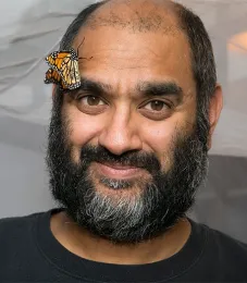 UC Davis alumnus and monarch expert Anurag Agrawal of Cornell University (Photo courtesy of Cornell University)