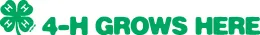 4-h-horiz-logo-4c_1_orig