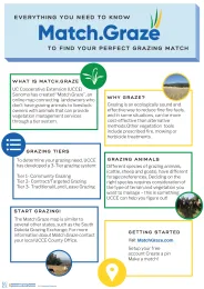 Match.Graze Everything you need to know infographic