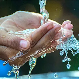 SafetyBlackHands-Pixabay