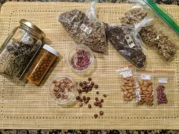 An assortment of seeds and nuts in various containers arranged on a woven mat, including jars and resealable plastic bags.