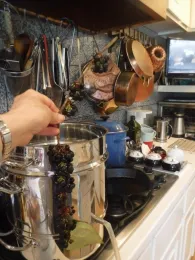 Juicing Berries - courtesy of June Walsh