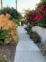 hazardous plants are found along a walkway in San Diego California