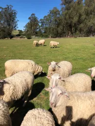 Photo by Pam Krone. Property 2, plot C5 on February 2019.