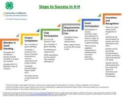 Steps to Success