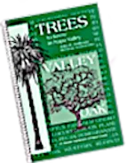 Trees to Know in Napa Valley