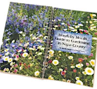 Month-by-Month Guide to Gardening in Napa County