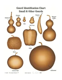 FtG DecorativeGourd10