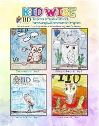 Kid Wise - Design an Ad IID Program