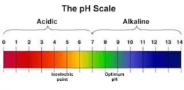 The pH scale is how acid or basic a material is. Healthy soil is right around pH 7. Credit: Wikimedia Commons