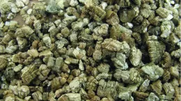 Vermiculite is an inorganic mineral that absorbs and holds nutrients and water. Credit: Wikimedia Commons