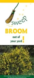 cover_broom
