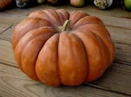 1d297a021a616560750c2affbf08f457