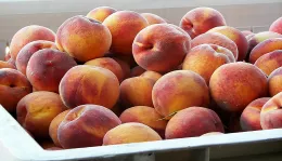 Peaches